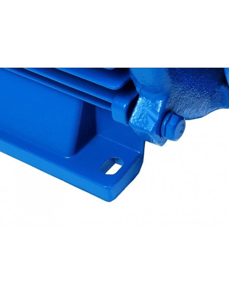 Насос поверхностный ВИХРЕВИК  40/ Ч (чугун корпус)