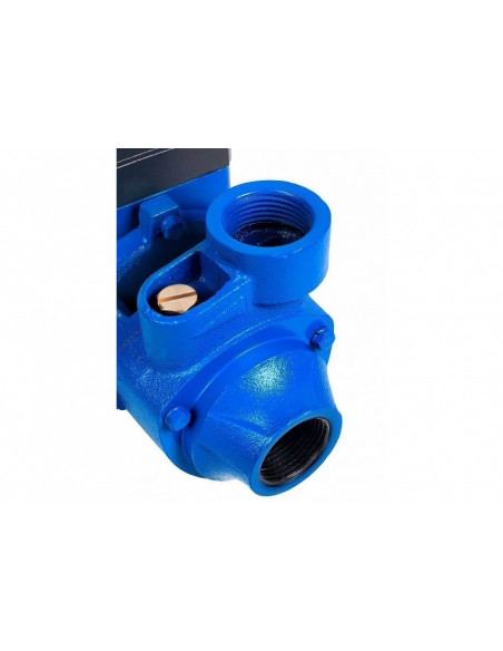 Насос поверхностный ВИХРЕВИК  40/ Ч (чугун корпус)