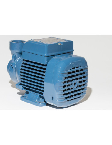 Вихревой насос Pedrollo PKm 60