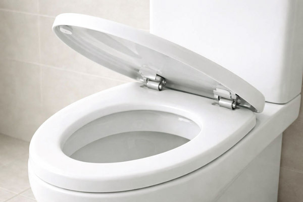 Микролифт для крышки унитаза - нужно ли